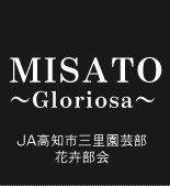 MISATO`Gloriosa`