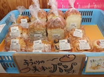 農産物直売横浜店